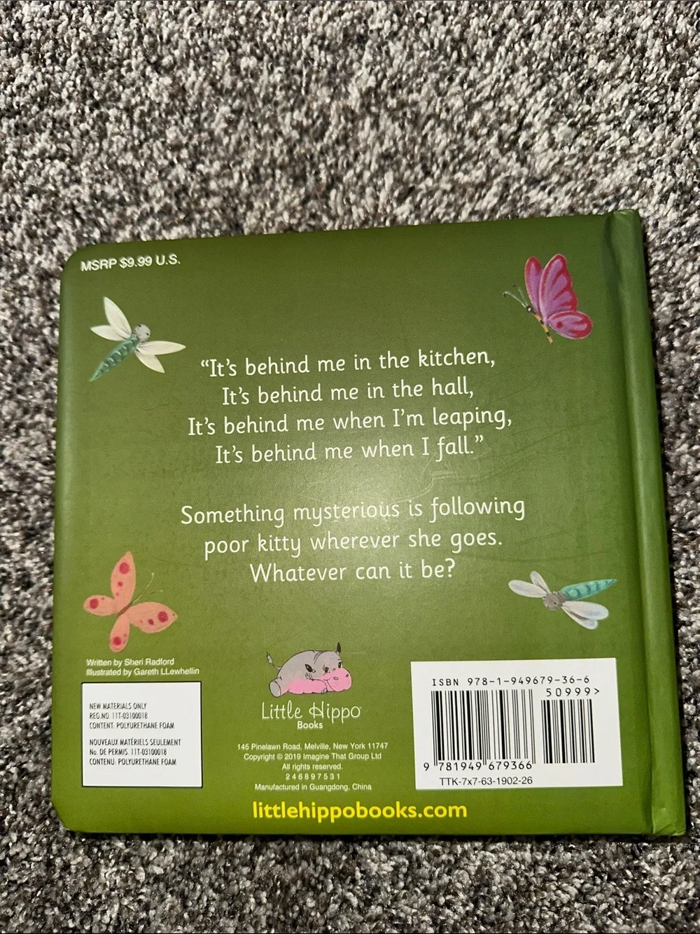 It's Following Me! Gray Kitten Board Book - Kids Learning Toy
